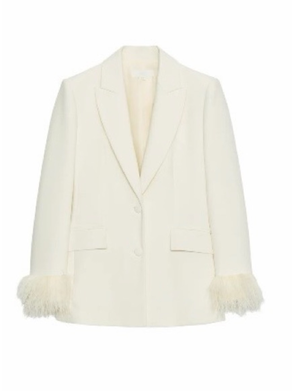 Zara Tailored Blazer with Feather Cuffs